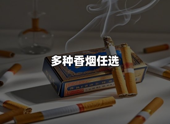 专业优势